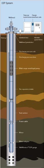 OMS - Downhole Monitoring System